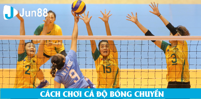 Hướng Dẫn Chi Tiết Về Cá Độ Bóng Chuyền Tại Jun88 Giới Thiệu Về Cá Độ Bóng Chuyền