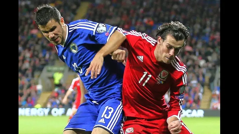 wales va bosnia herzegovina google 9856